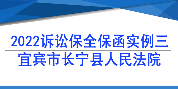 宜宾市长宁县人民法院-财产保全/2022诉讼保全保函实例分析三