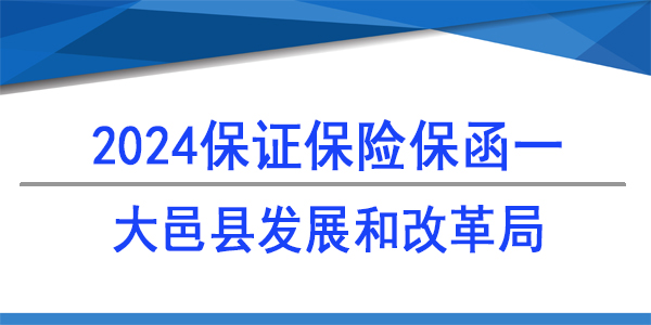 大邑县发展和改革局,保险保函