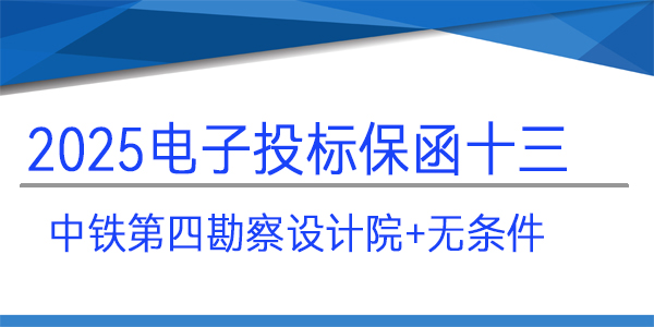 电子投标保函,投标保函