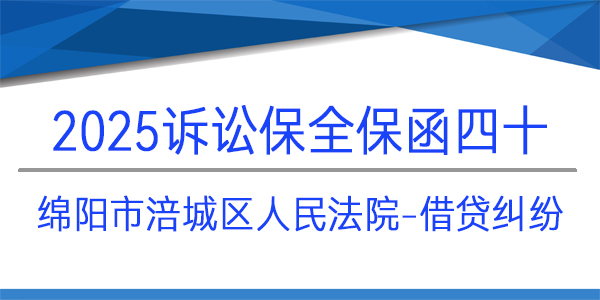 绵阳市涪城区人民法院,诉讼保全,财产保全