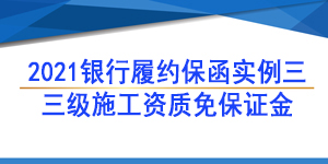 三级资质履约保函/2021年银行履约保函实例三