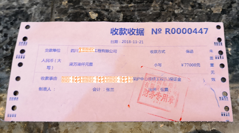 四川国际招标有限责任公司投标保证金的缴纳方式----投标保函