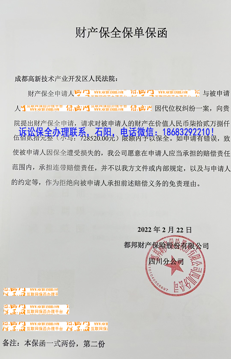 诉讼保全