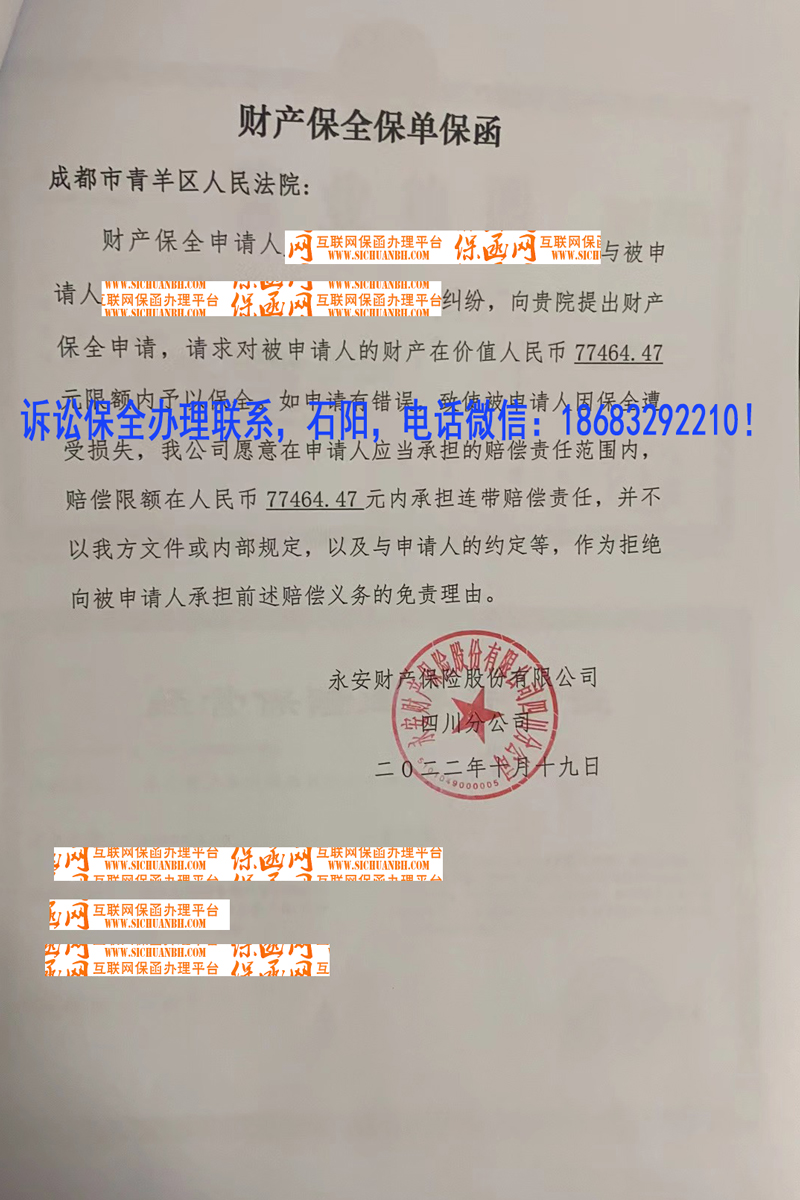 诉讼保全