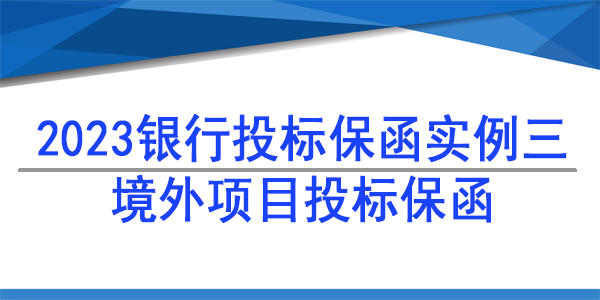 投标保函,境外项目投标保函
