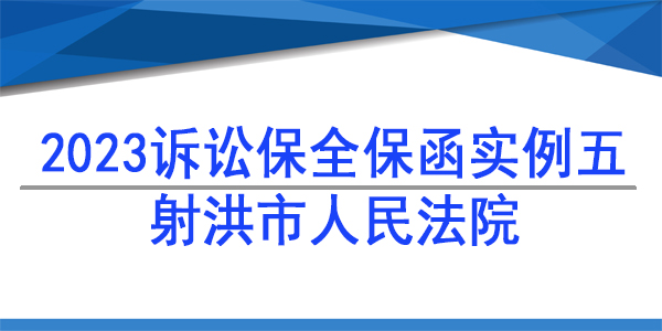 诉讼保全,财产保全,射洪市人民法院