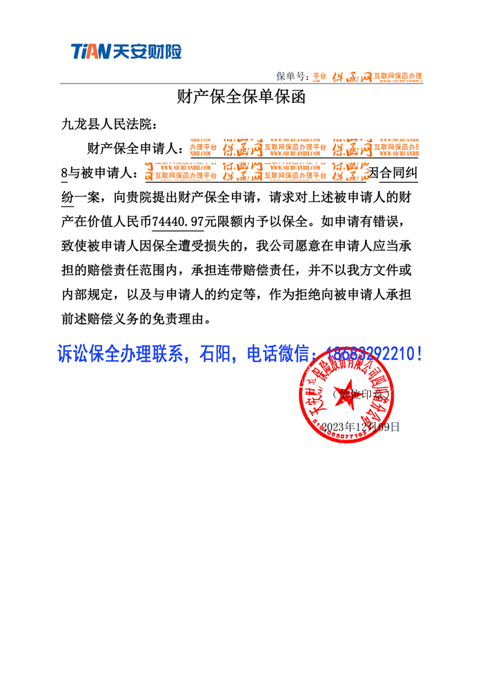 诉讼保全.jpg