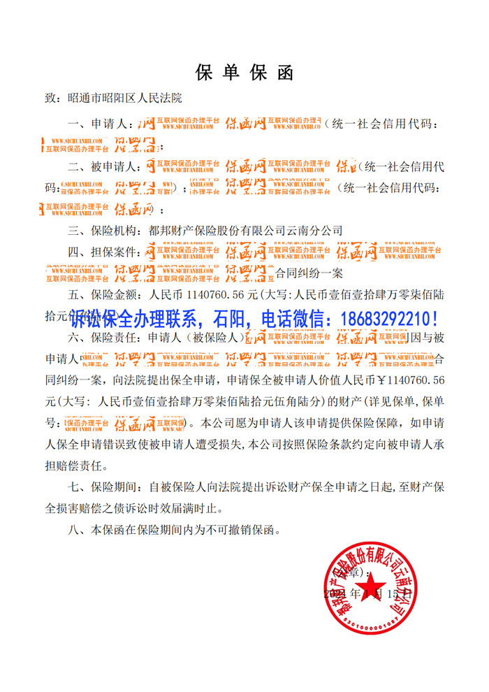 诉讼保全.jpg