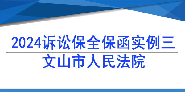 诉讼保全,财产保全,文山市人民法院