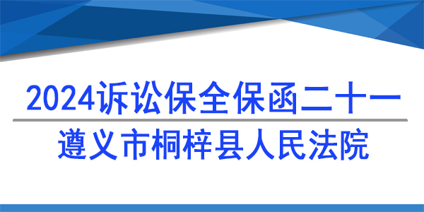 遵义市桐梓县人民法院,诉讼保全