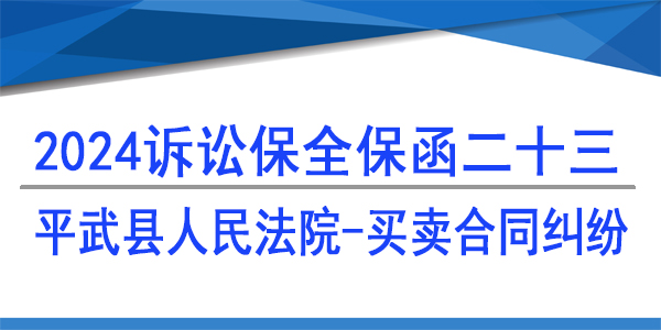 平武县人民法院,诉讼保全