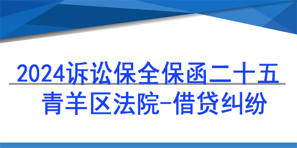 成都市青羊区人民法院,诉讼保全