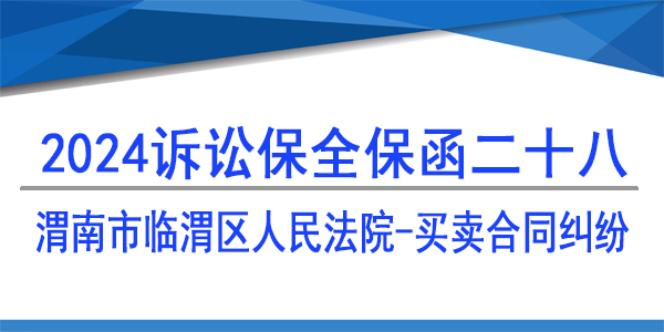 渭南市临渭区人民法院,诉讼保全,财产保全
