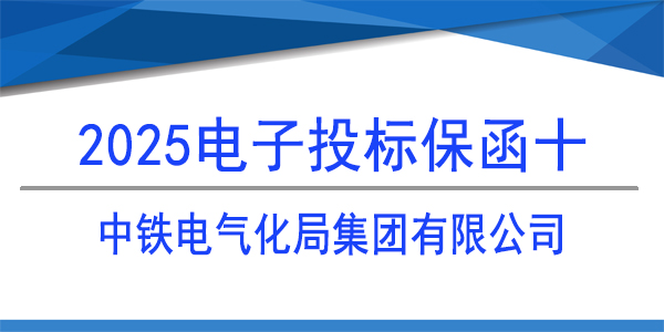 电子投标保函,投标保函