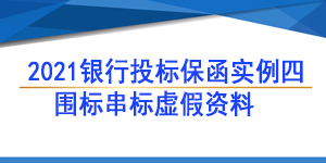 投标保函,投标人围标串标虚假资料