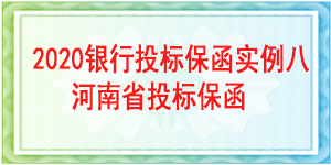河南省投标保函,投标保函